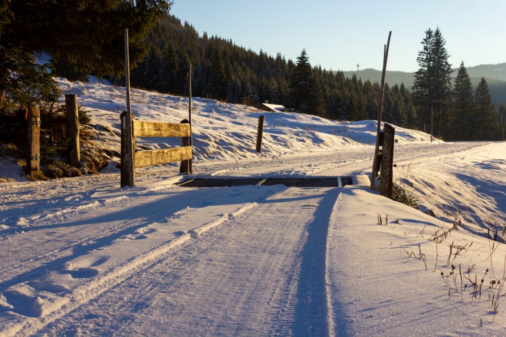tire tracks on a snow covered road that has a cattle grate guard