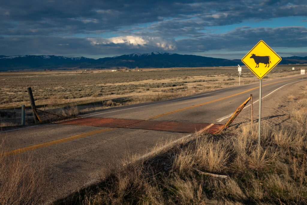 cattle guard running across a rural highway road in a mountain valley