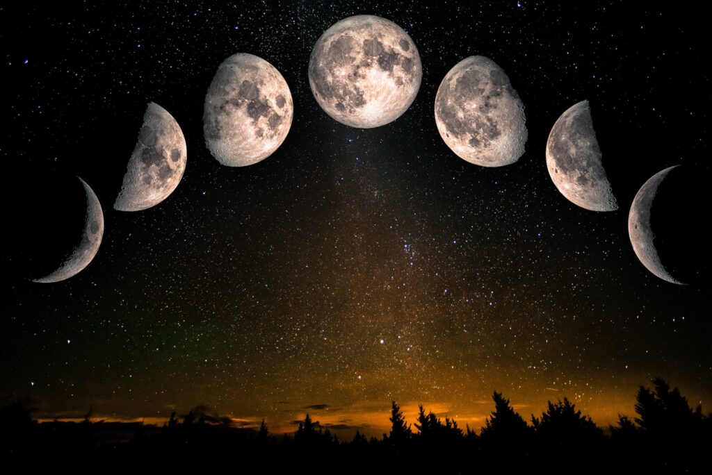 the lunar phases over a starry sky with silhouettes of trees at the bottom